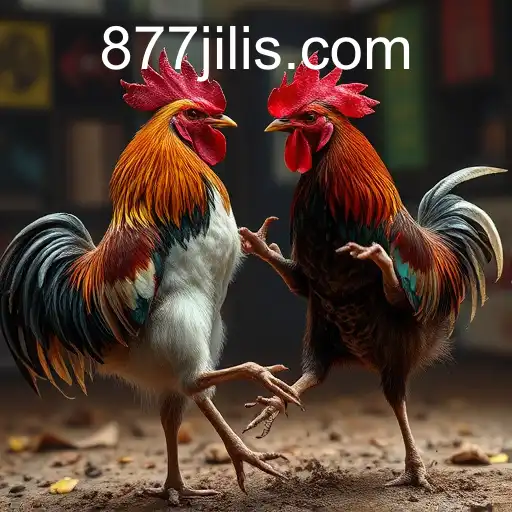 Exploring the Thrilling World of Sabong Games and the Rise of 877JILI